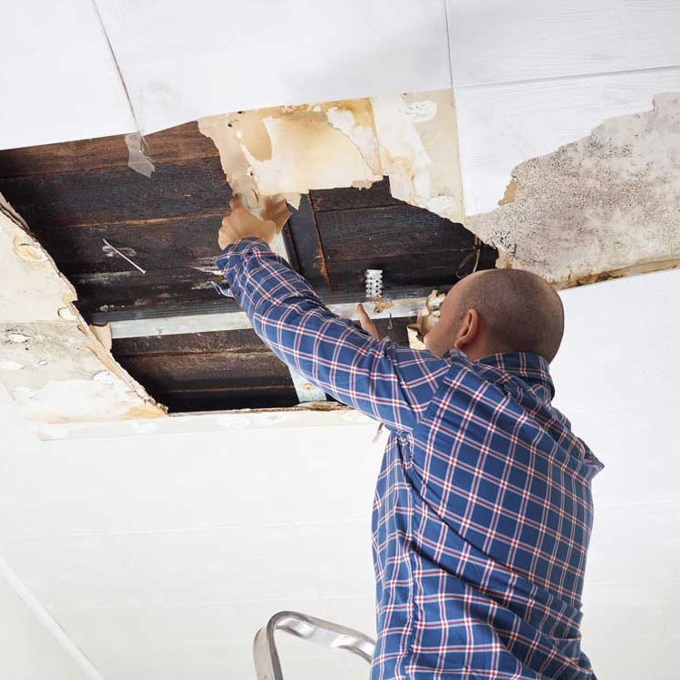 Wir malen Wände und Fassaden - Maler von Sanierung Oberberg